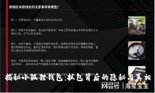 揭秘小狐狸钱包：抓包背后的隐秘与真相